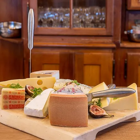 Alpine 酒店 达沃斯