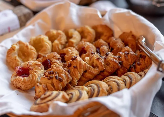 Alpine 酒店 达沃斯